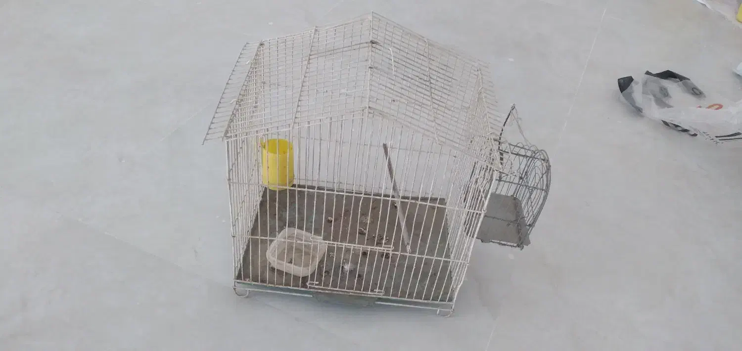 قفس پرنده وتله سره|لوازم جانبی حیوانات|پردیس, فاز ۳|دیوار