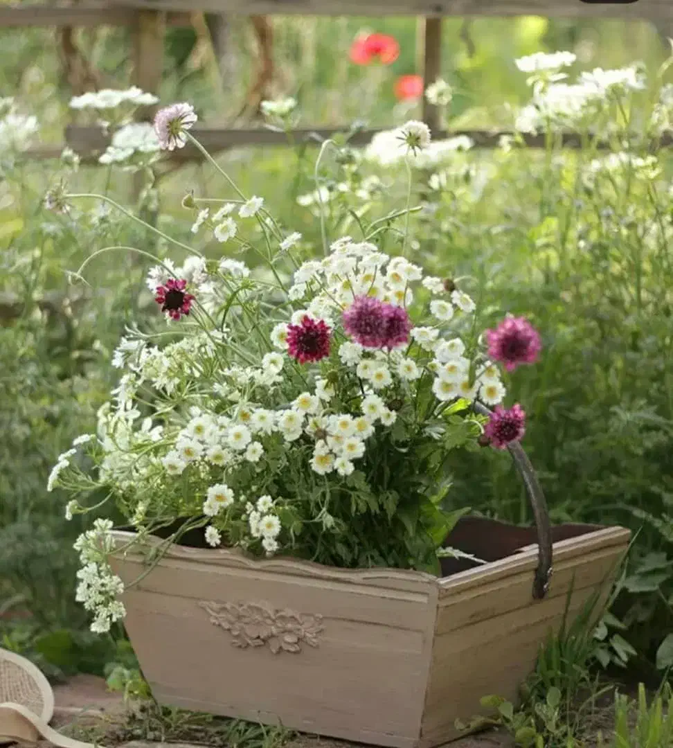 پیدا شده|اشیا|فرخشهر, |دیوار