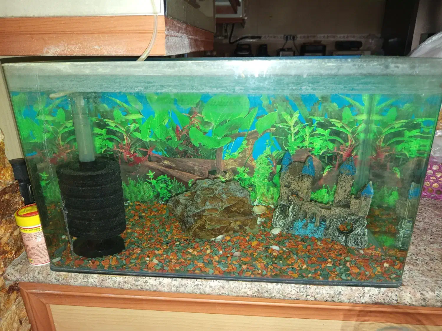 آکواریوم درحد نو|ماهی|قم, بنیاد|دیوار