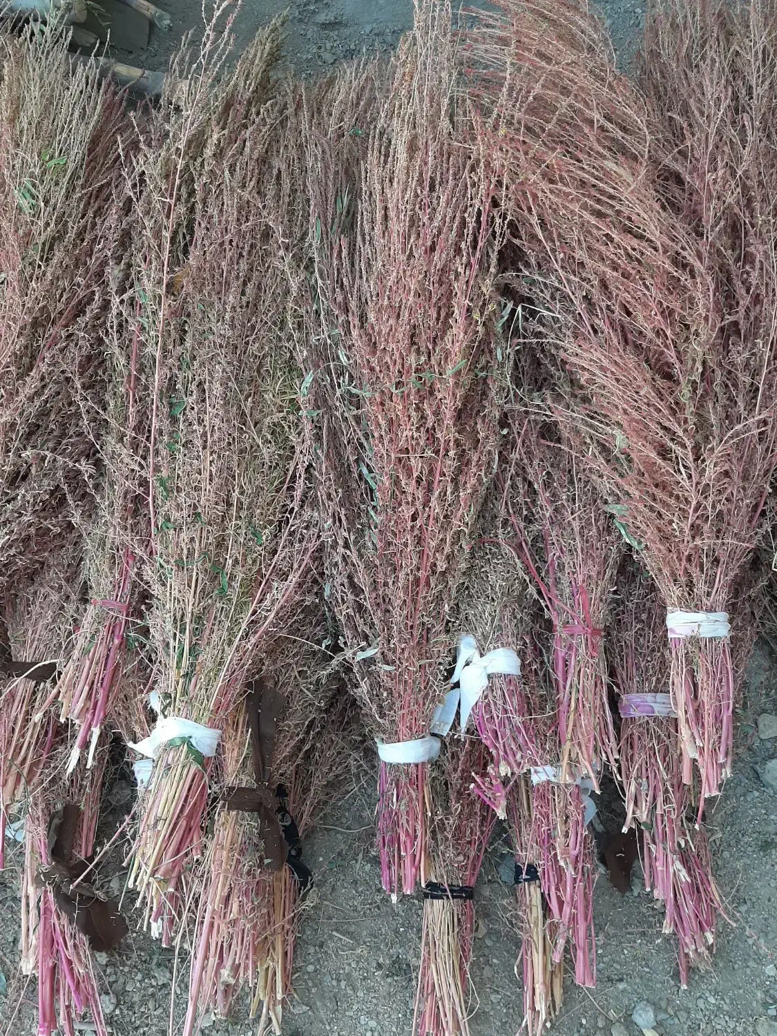 جارو|لوازم نظافت|خرم‌آباد, |دیوار