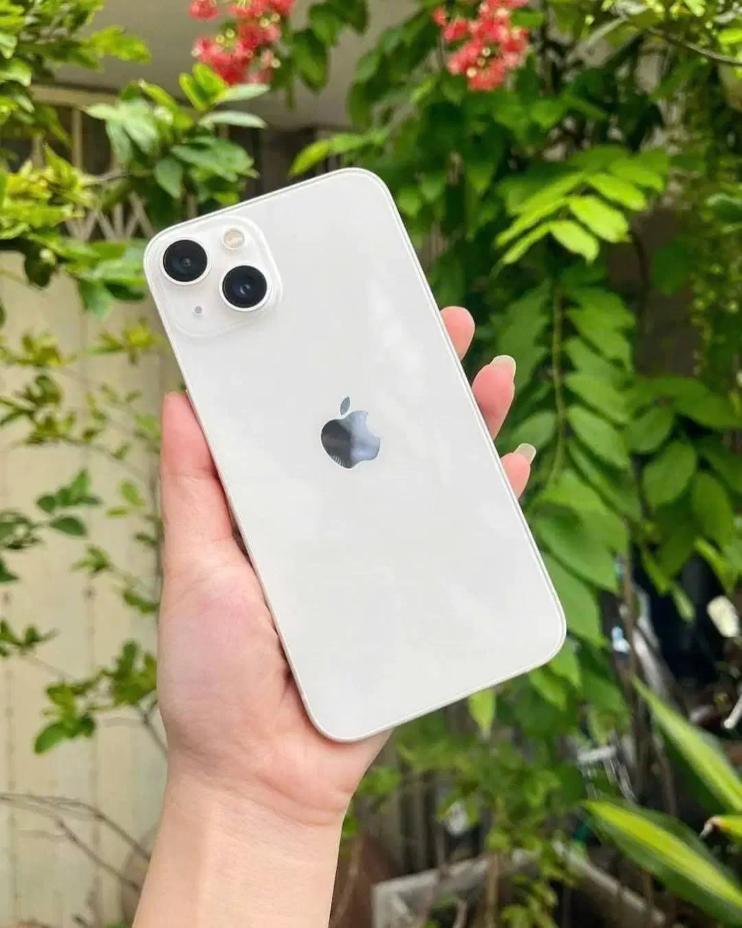 آیفون ۱۳ نرمال / iphone 13|موبایل|مشهد, رضاشهر|دیوار