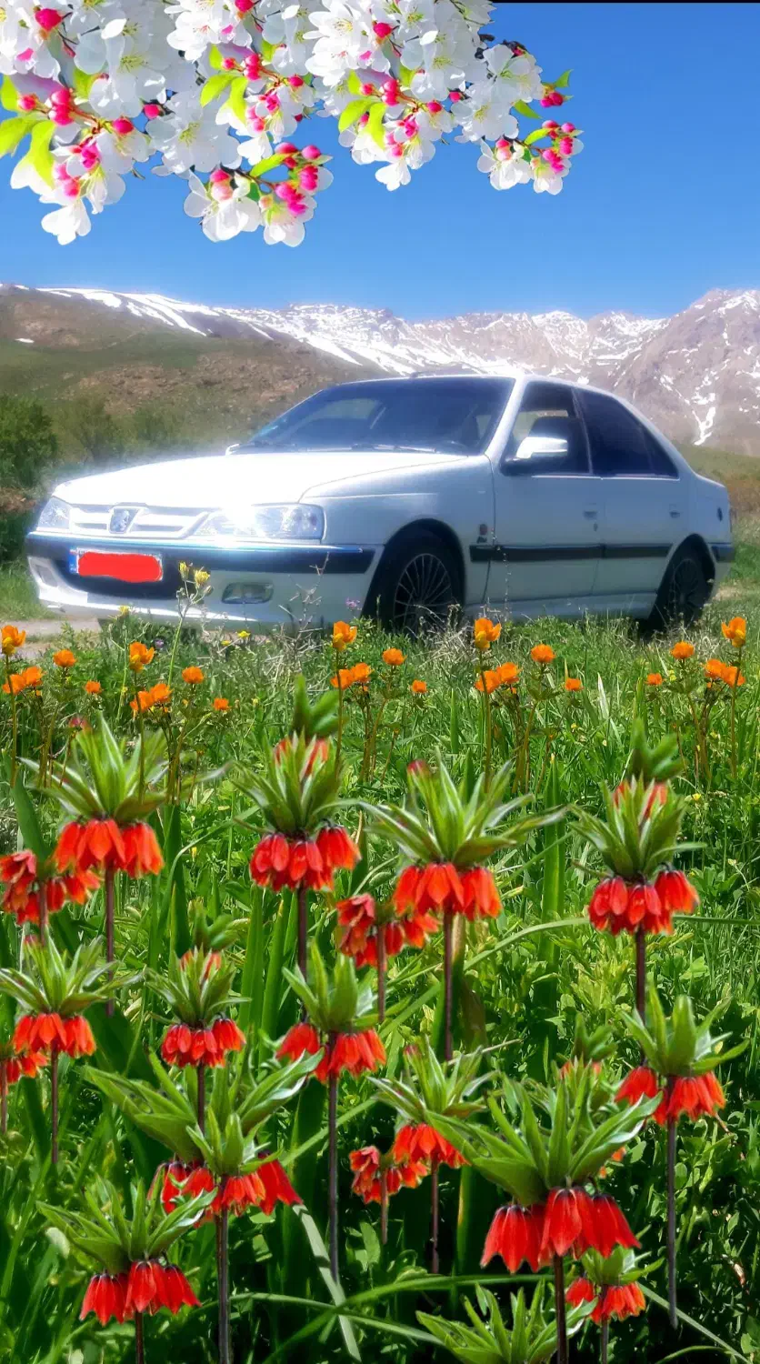 فروش خودروی پارس دوگانه دستی|خودرو سواری و وانت|فریدونشهر, |دیوار