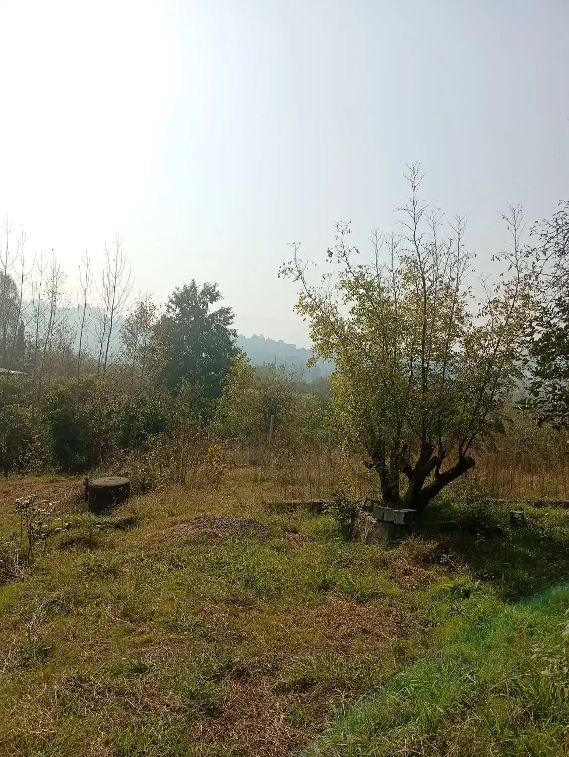 زمین کوهپایه‌ای با سند تک برگ|فروش زمین و ملک کلنگی|لاهیجان, آهندان|دیوار