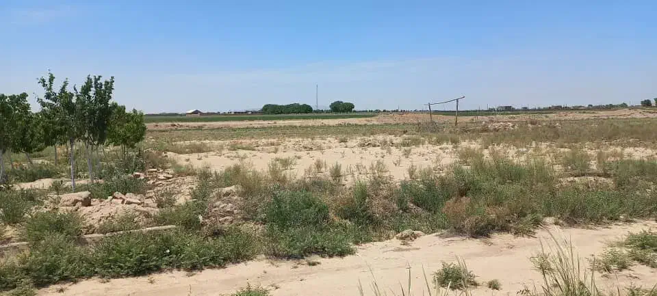 زمین ۵۰۰متری باغی ک نزدیک خیابان اصلیه|فروش زمین و ملک کلنگی|جوادآباد, |دیوار