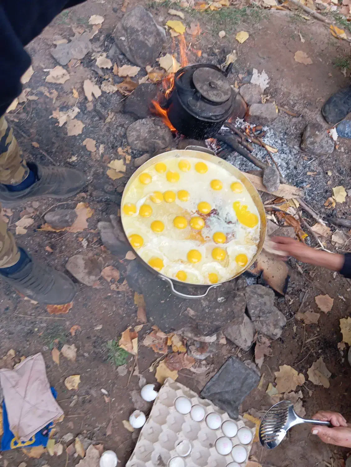 تور مشهدیا طبیعت|تور و چارتر|مشهد, آپارتمان های مرتفع|دیوار