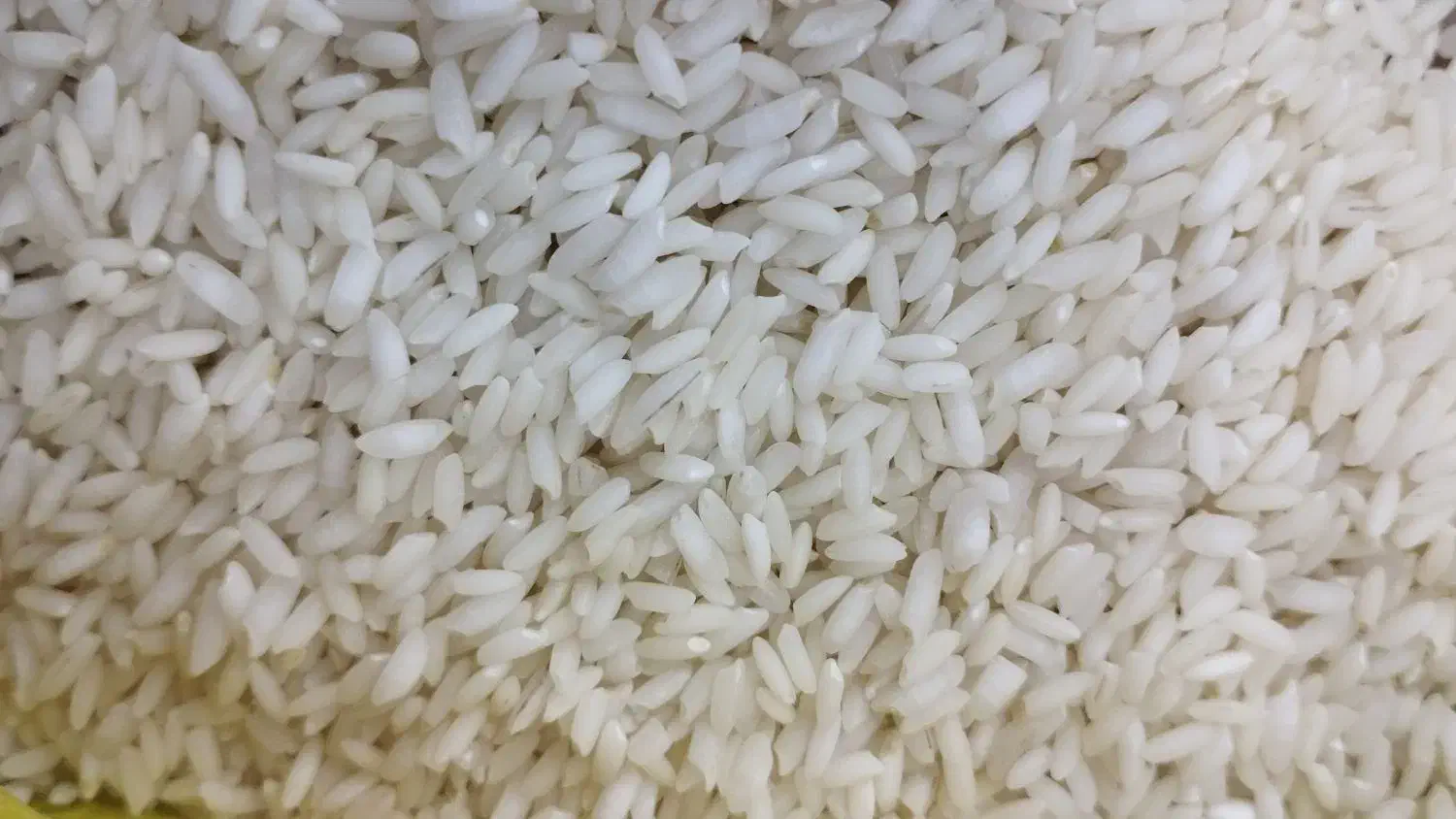 برنج عنبر امسال درجه یک تمیز لیزر شده|خوردنی و آشامیدنی|کارون, |دیوار