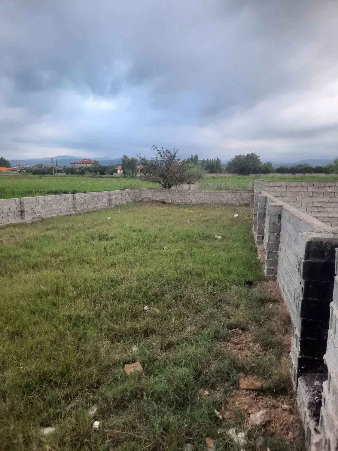 فروش زمین مسکونی|فروش زمین و ملک کلنگی|خوشرودپی, |دیوار