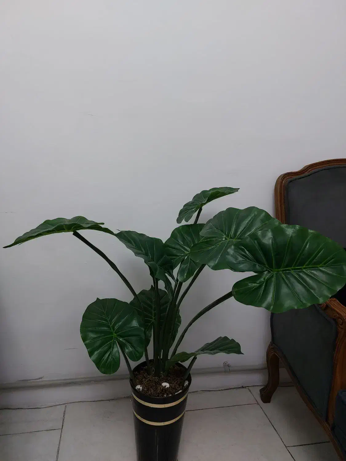 درختچه مصنوعی|گل مصنوعی|کرج, کمال‌شهر|دیوار