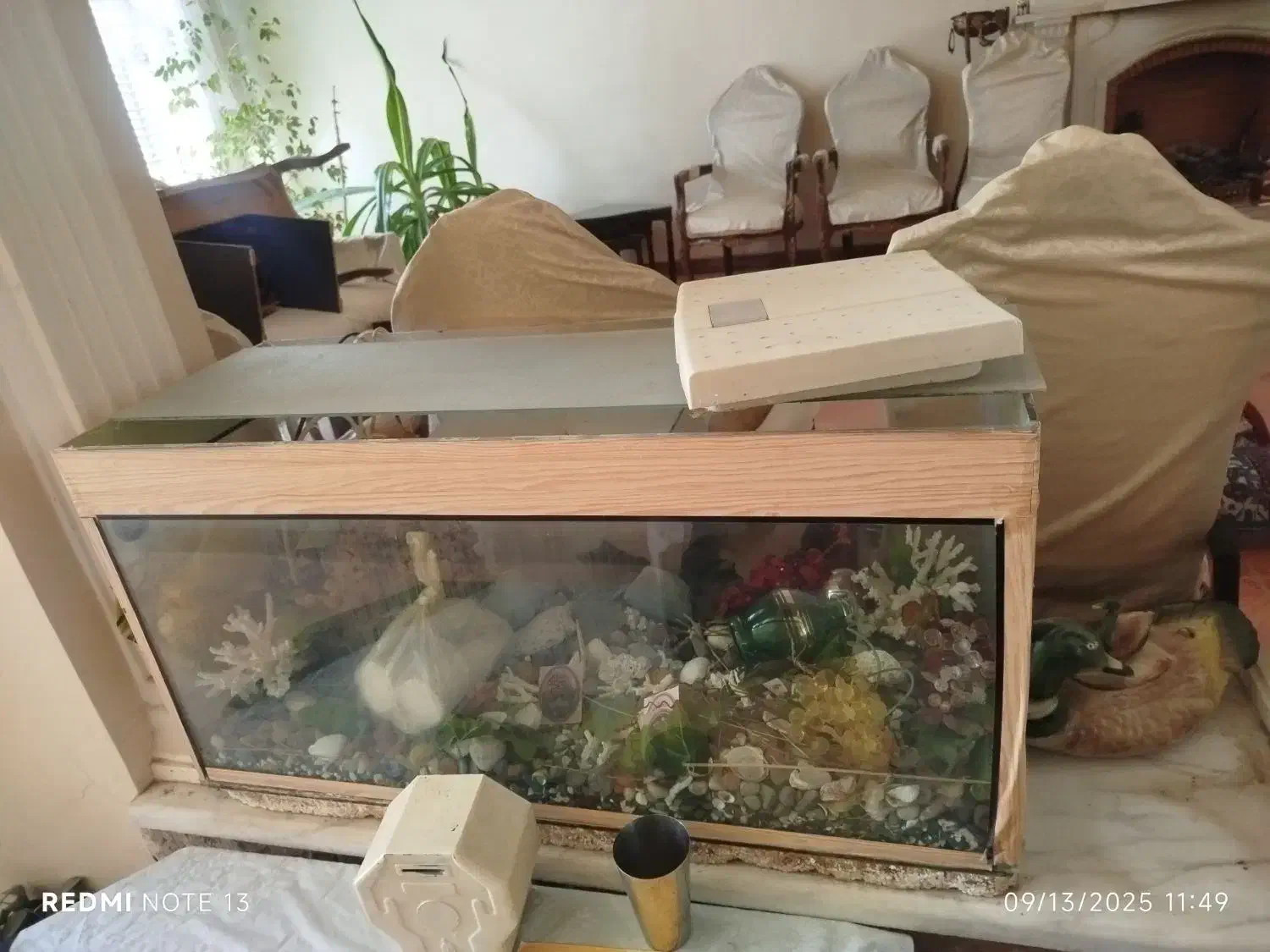 آکواریوم سایز بزرگ|ماهی|شیراز, نیستان|دیوار
