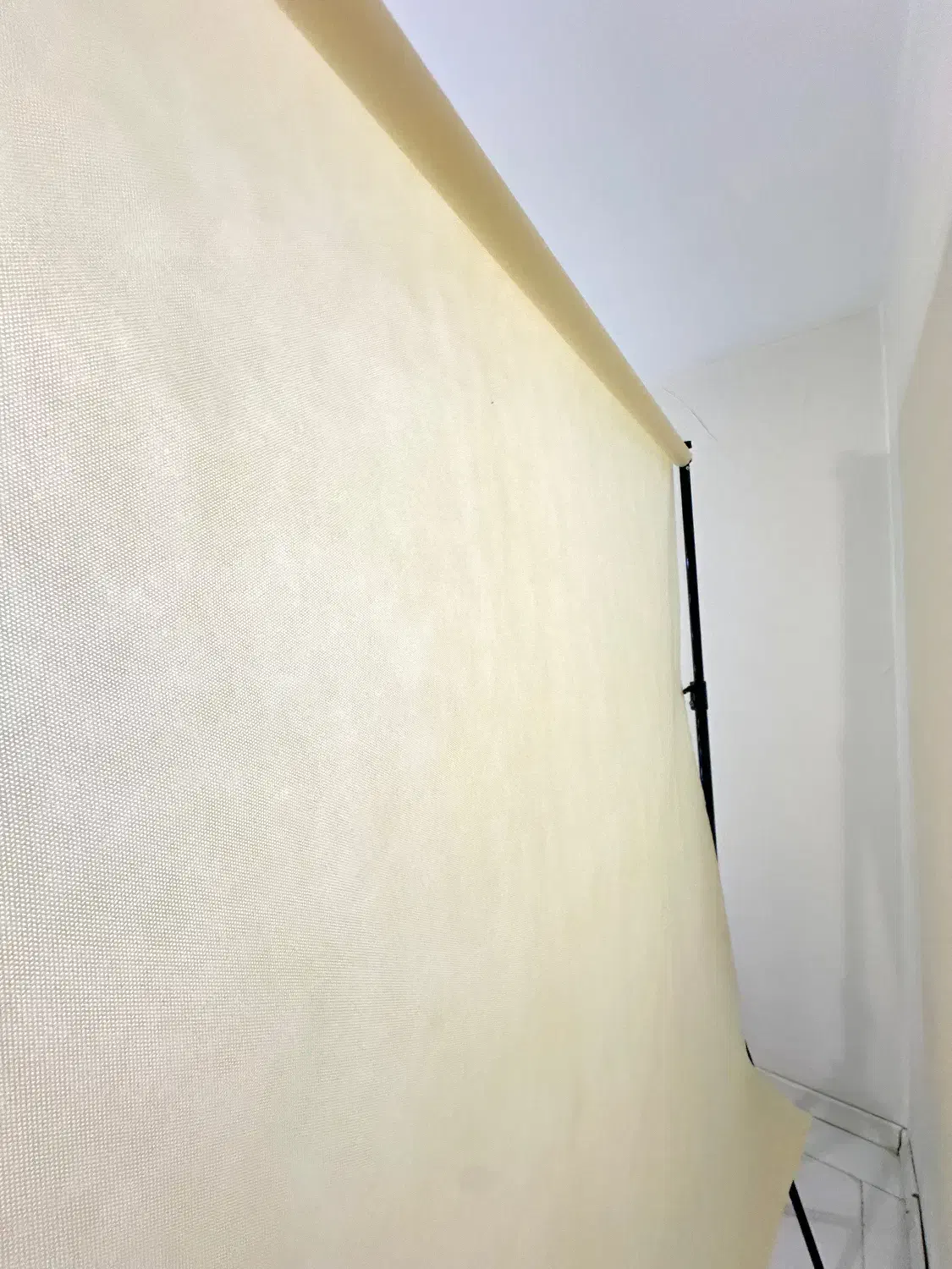 پایه عکاسی حرفهای + پرده کرم ابعاد ۲.۴۰ × ۲|دوربین عکاسی و فیلمبرداری|تهران, قیطریه|دیوار