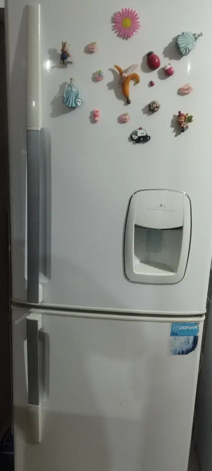 یخچال فریزردونار|یخچال و فریزر|زاهدان, |دیوار