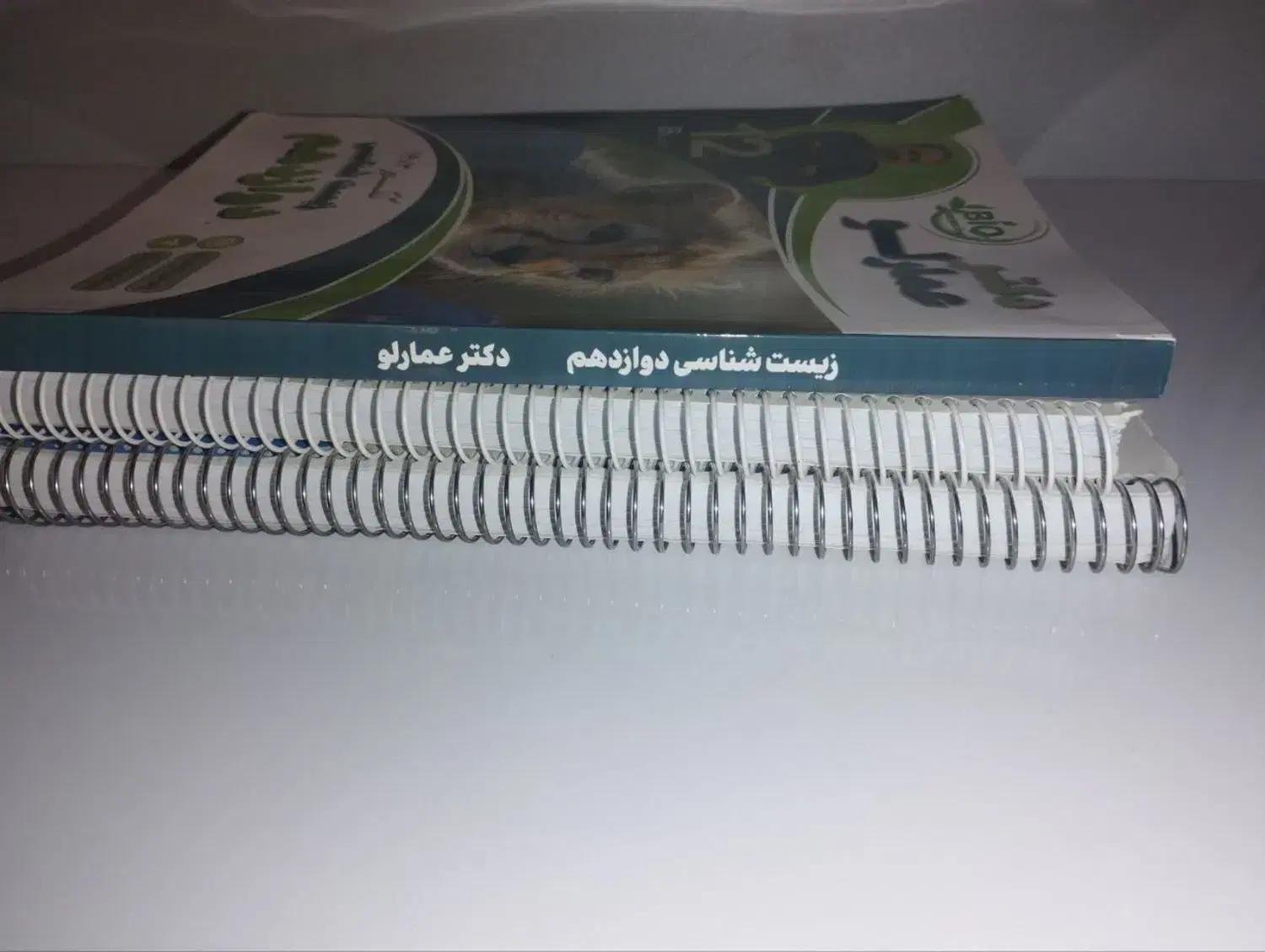 جزوه|کتاب و مجله آموزشی|اصفهان, قهجاورستان|دیوار
