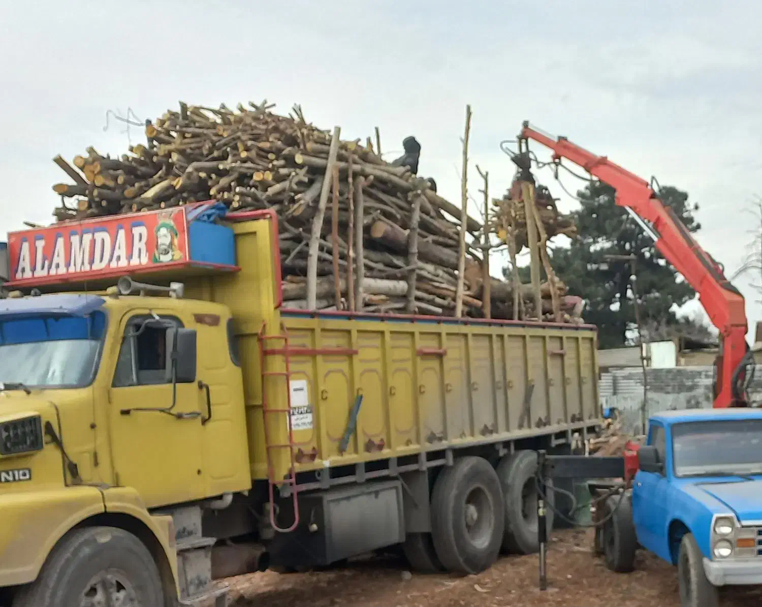 خرید چوب هیزمی و صنعتی و هرس درخت|خدمات باغبانی و درختکاری|تهران, خلازیر|دیوار