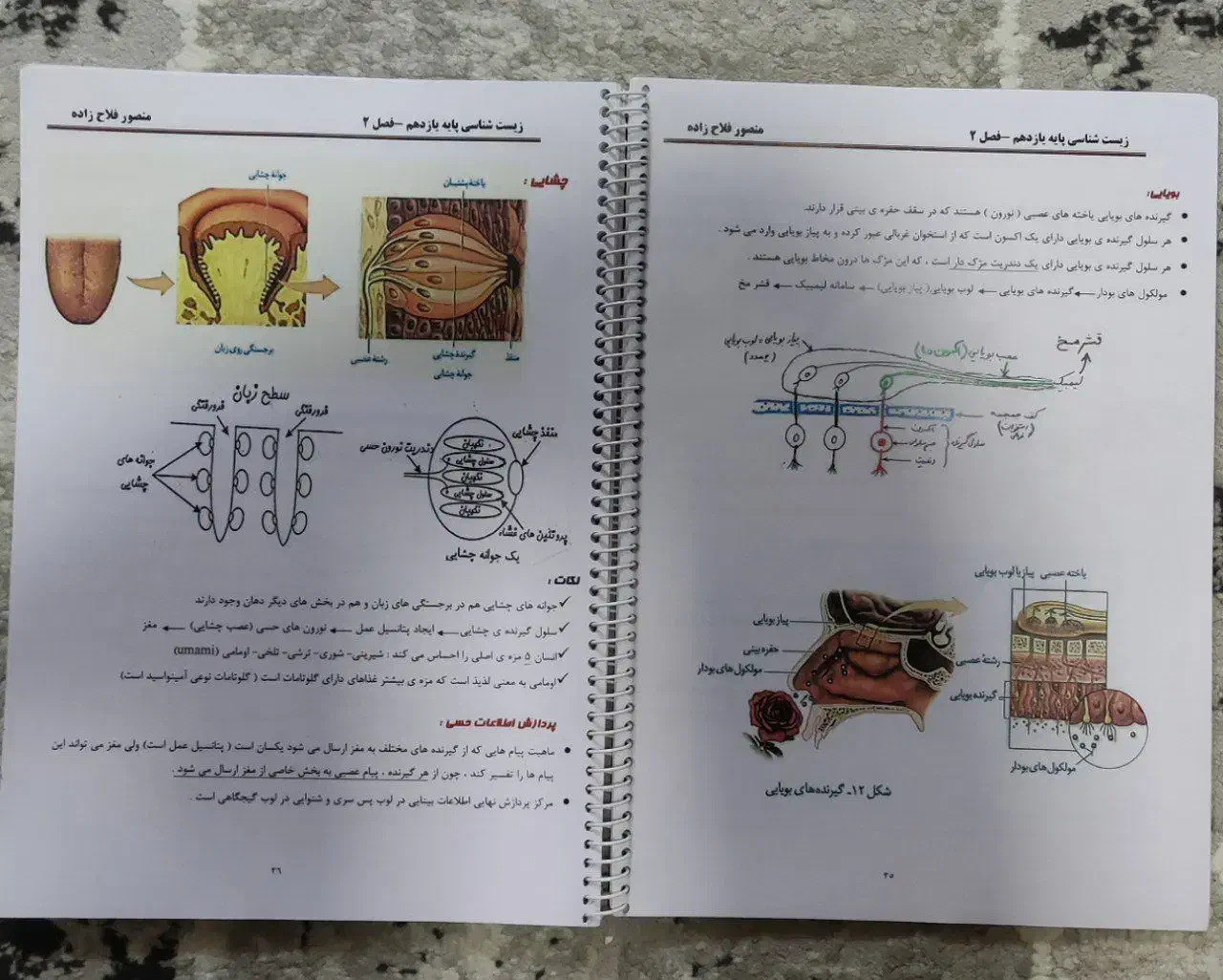 کتاب خیلی سبز زیست شناسی یازدهم به همراه جزوه زیست|کتاب و مجله آموزشی|شیراز, شهرک استقلال|دیوار