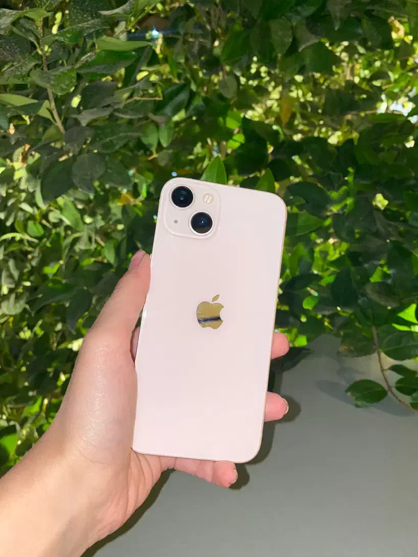 آیفون ۱۳ ۱۲۸g صورتی|موبایل|شاهینشهر, فردوسی|دیوار