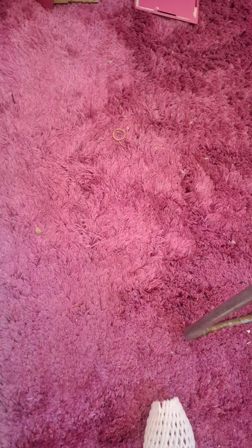 دوعدد قالیچه|فرش|پرند, فاز ۵|دیوار