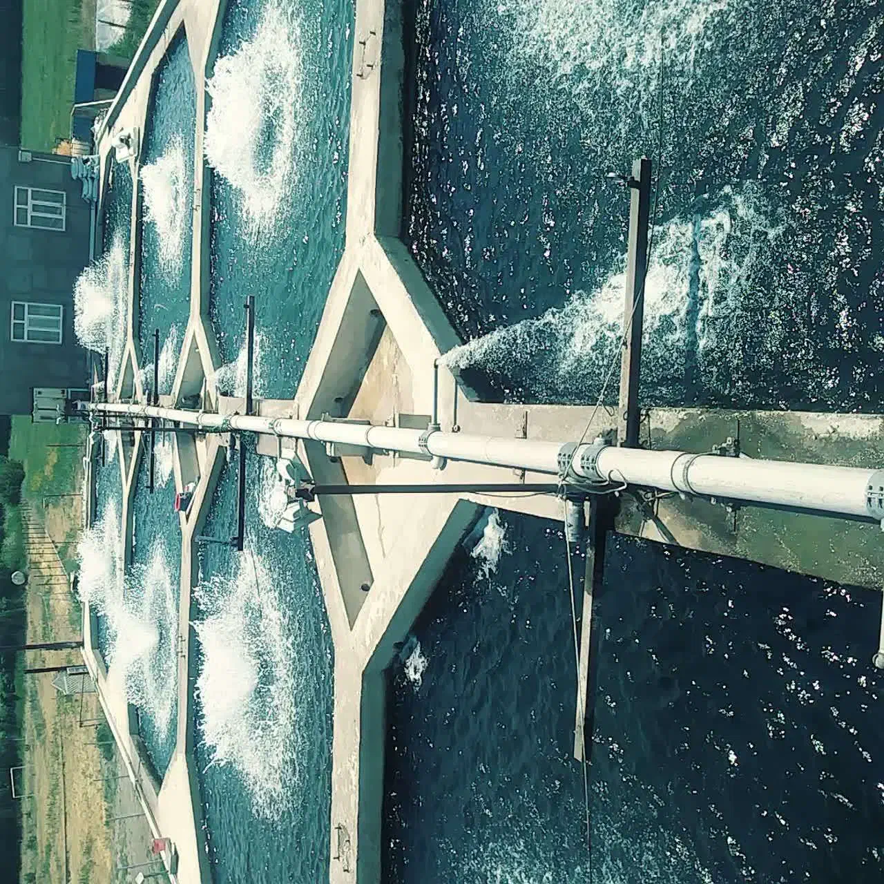 فروش ماهی قزل آلا|ماهی|سراب, |دیوار