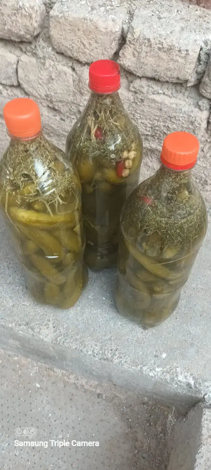 خیارشورمحلی تردوخوشمزه|خوردنی و آشامیدنی|تربت‌حیدریه, بالا ولایت|دیوار