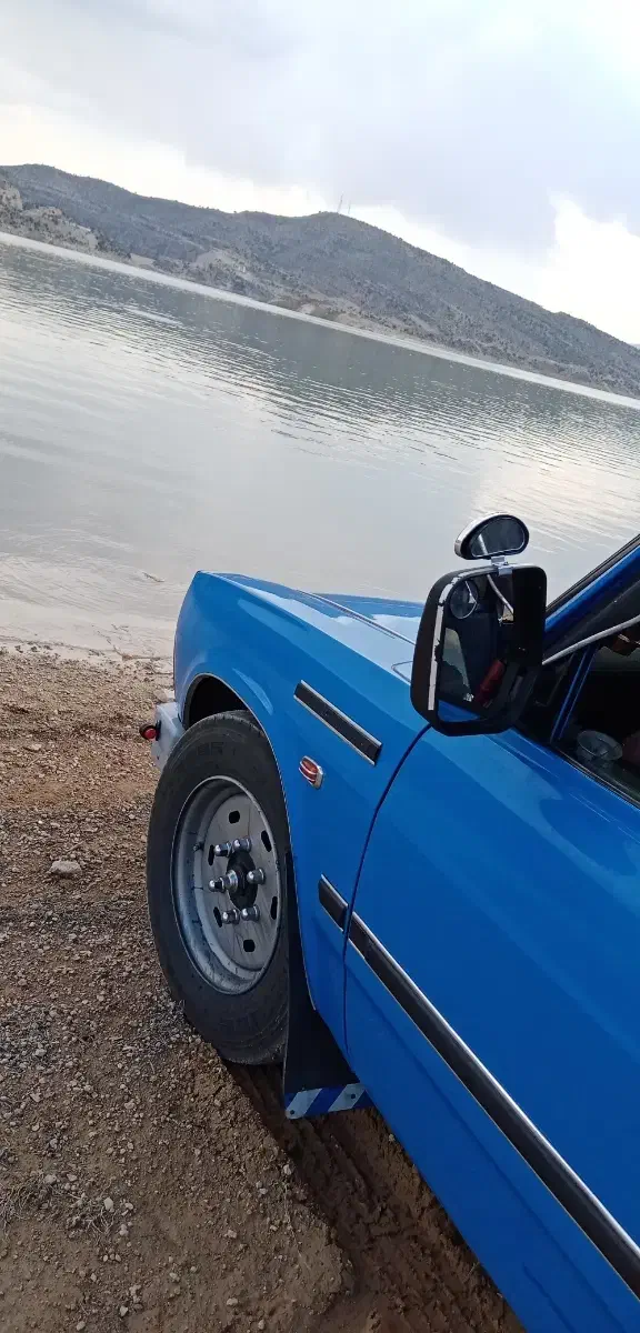 خدمات حمل و نقل|خدمات حمل و نقل|لامرد, |دیوار