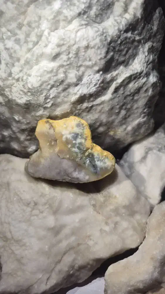 سنگ قیمتی شجر|بدلیجات|شیراز, شهرک قمشه|دیوار