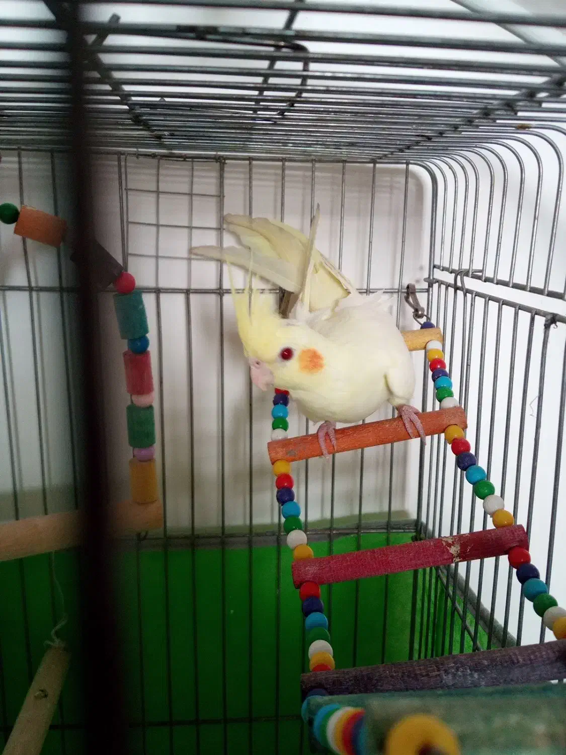 لوازممنزل عروسنر|حراج|قزوین, |دیوار