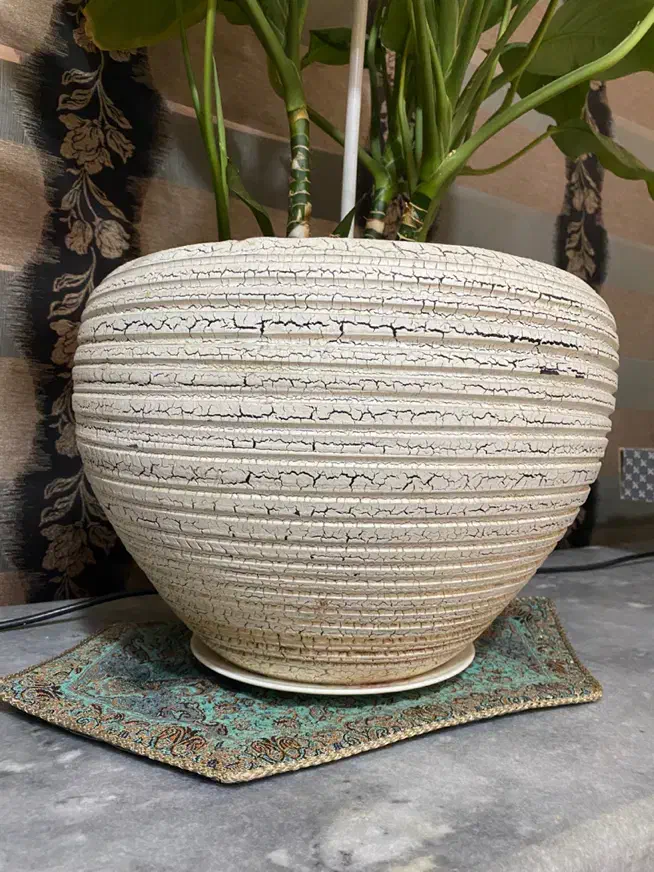 گلدان بزرگ سفید ۲عدد معاوضه با ماهی آکواریوم|گل و گیاه طبیعی|تبریز, |دیوار