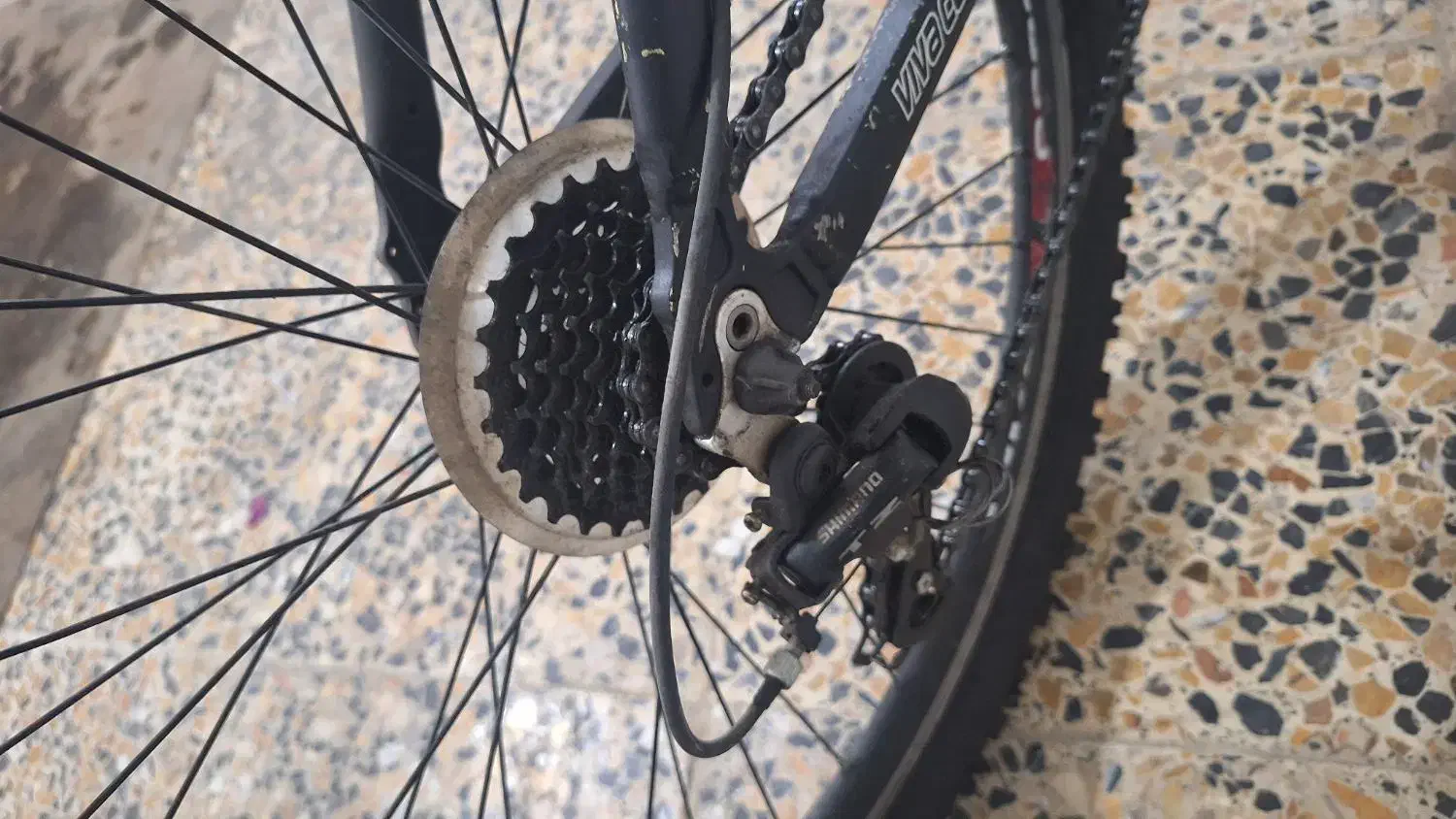 دوچرخه ویوا اصلی|دوچرخه، اسکیت، اسکوتر|شیراز, میانرود|دیوار