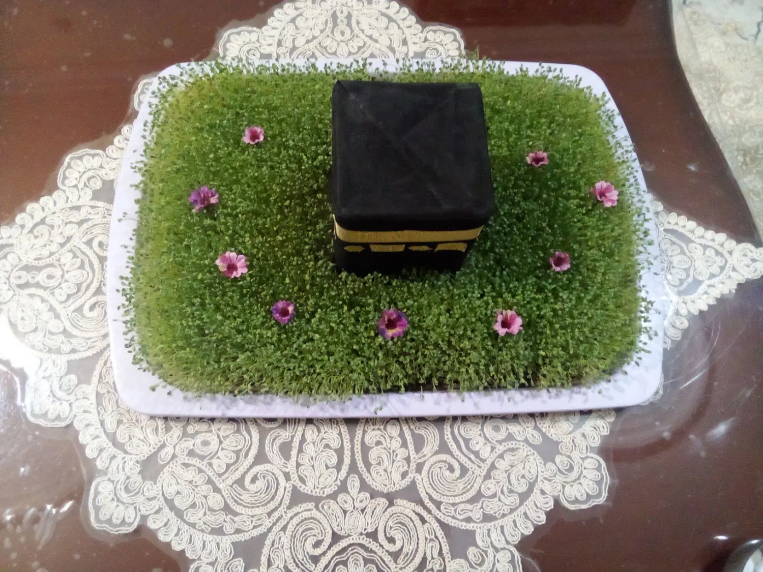 سبزه|گل و گیاه طبیعی|همدان, |دیوار
