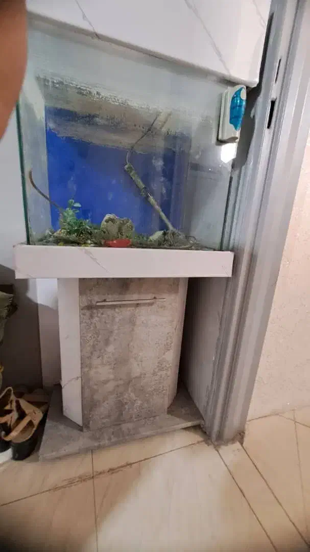 اکواریوم|لوازم جانبی حیوانات|تهران, جوادیه|دیوار