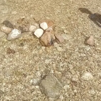 10 دقیقه آب..|خدمات باغبانی و درختکاری|بیرجند, |دیوار