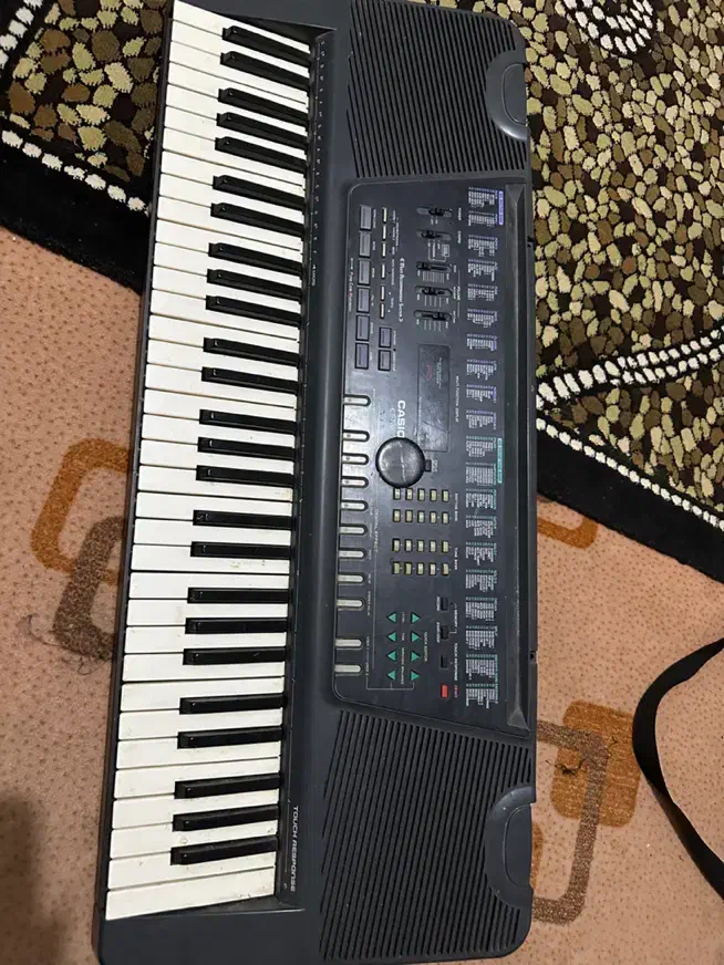 اورگ|پیانو، کیبورد، آکاردئون|مشگین شهر, |دیوار