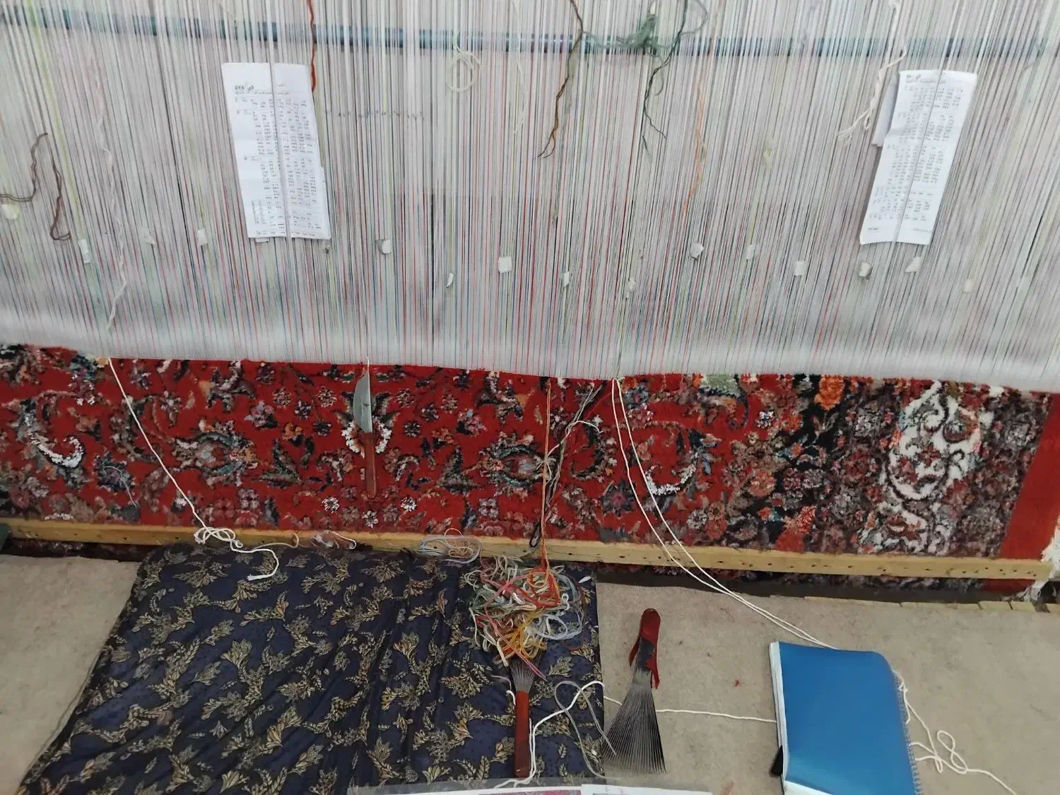 قالی بافی|فرش|سقز, |دیوار