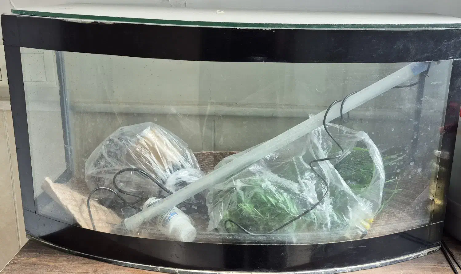 اکواریوم|ماهی|قم, باجک دو|دیوار