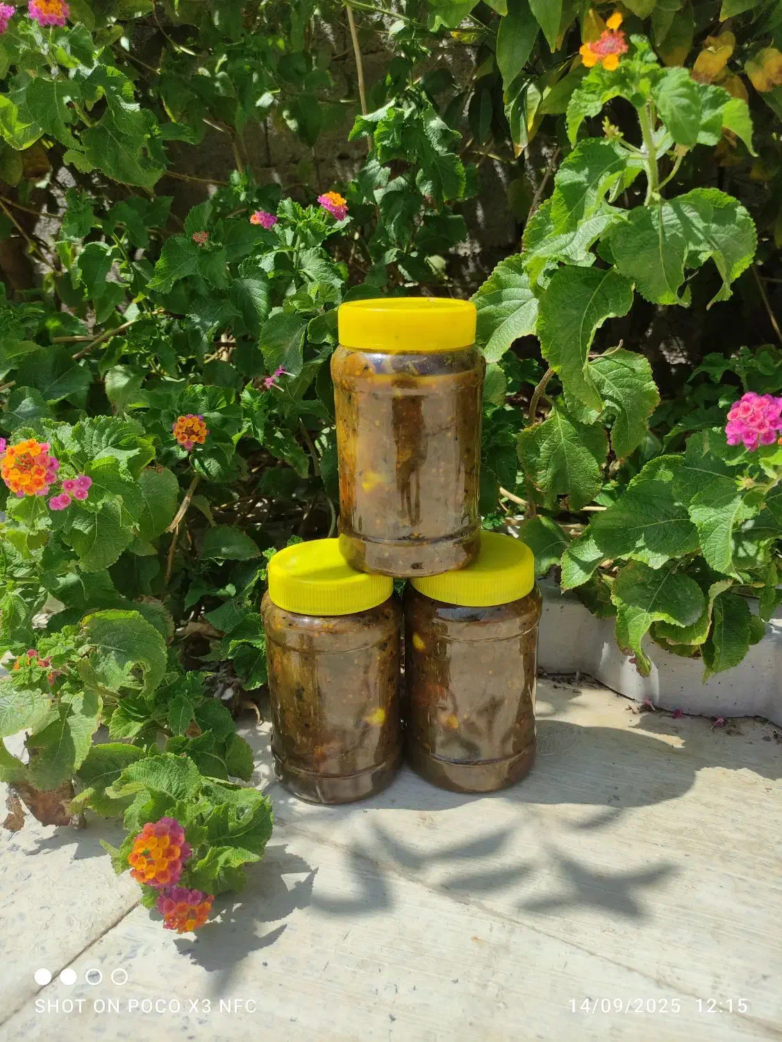 محصولات ارگانیک محلی خونگی جنت شهر|خوردنی و آشامیدنی|جنت, |دیوار