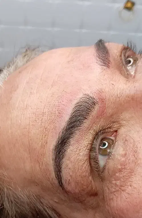 مدل میکروبلیدینگ و میکروپیگمنتیشن|خدمات آرایشگری و زیبایی|نیشابور, دهنو|دیوار