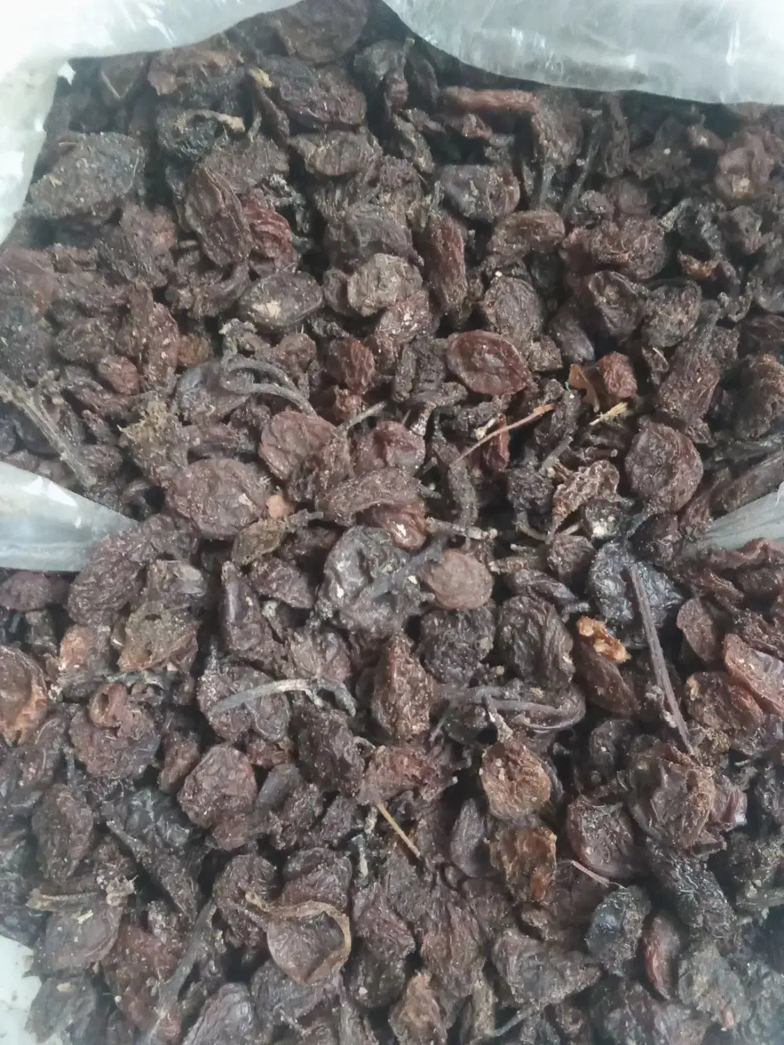 کشمش قوچان|خوردنی و آشامیدنی|مشهد, آزادشهر|دیوار