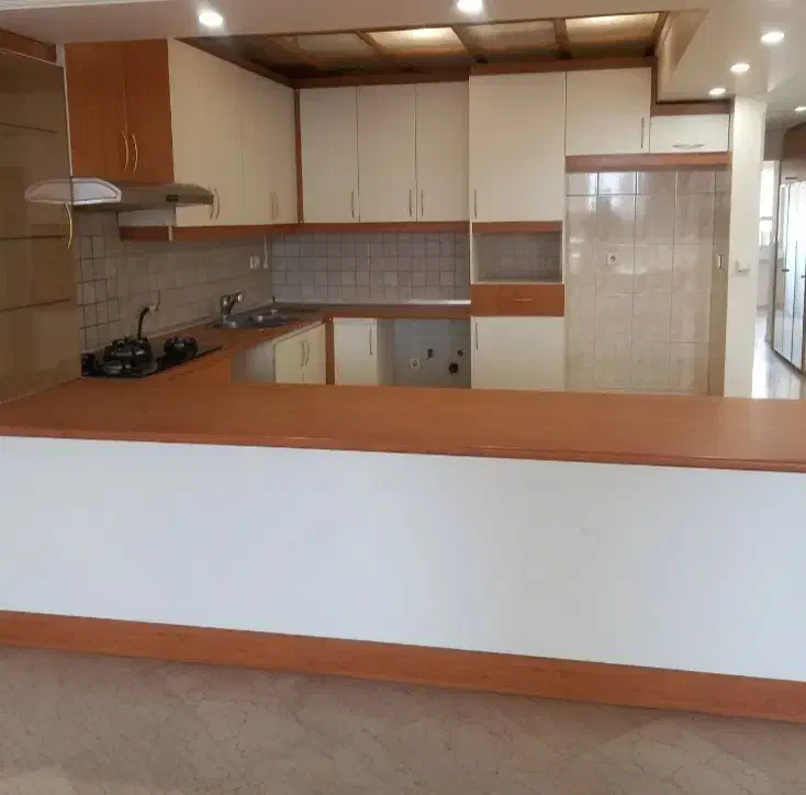 سقف کاذب چوبی با چوب راش|مصالح و تجهیزات ساختمان|تهران, نظامی گنجوی (توانیر)|دیوار