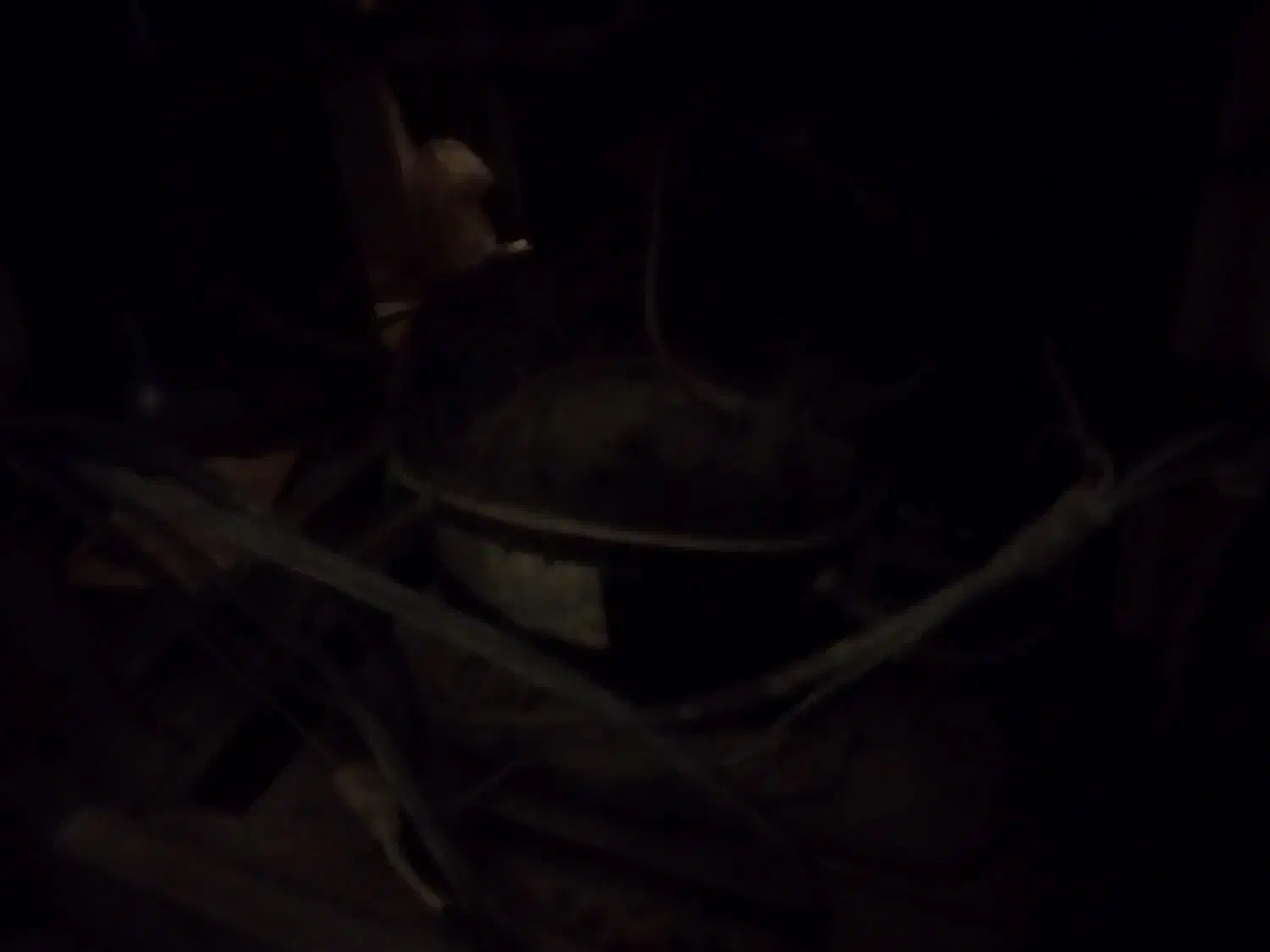 یخچال ویترینی|فروشگاه و مغازه|پلدختر, |دیوار