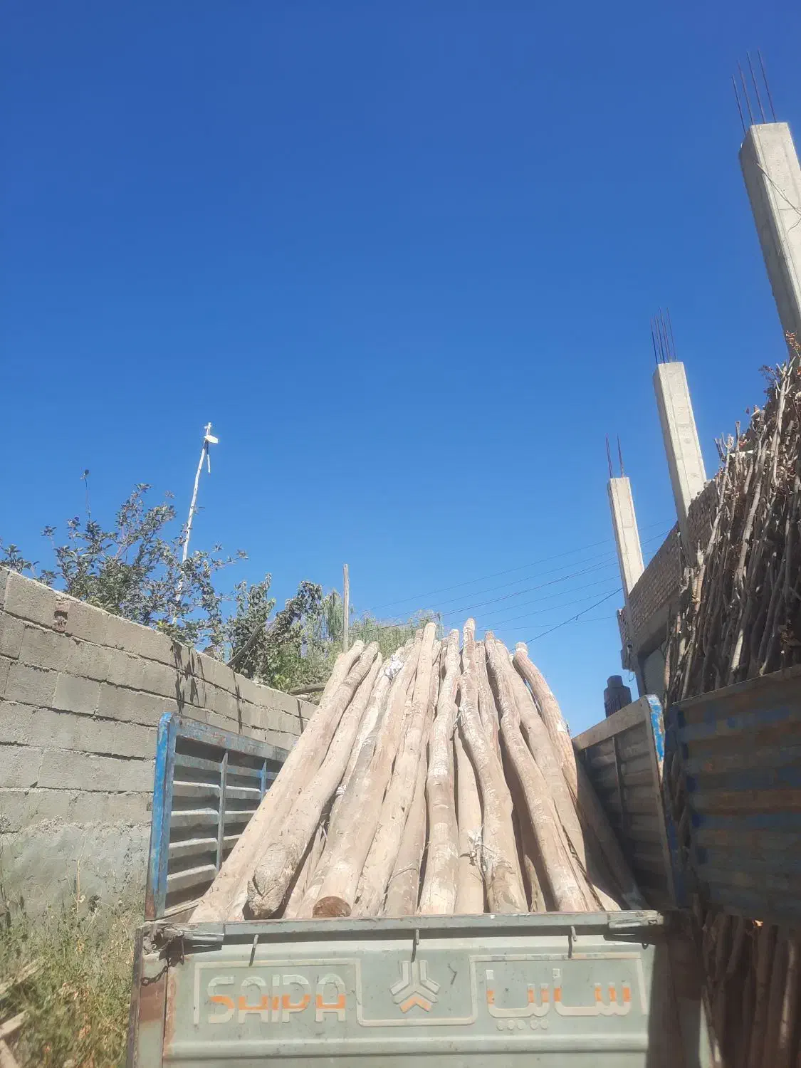 خریدار انوع چوب|خدمات باغبانی و درختکاری|بکتاش, |دیوار