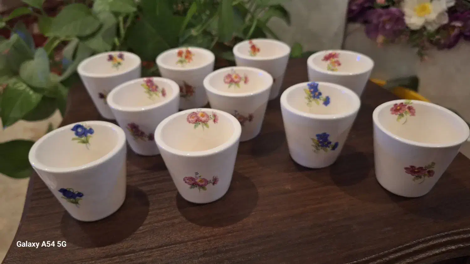 ظروف سرامیک|ظروف سرو و پذیرایی|قشم, |دیوار