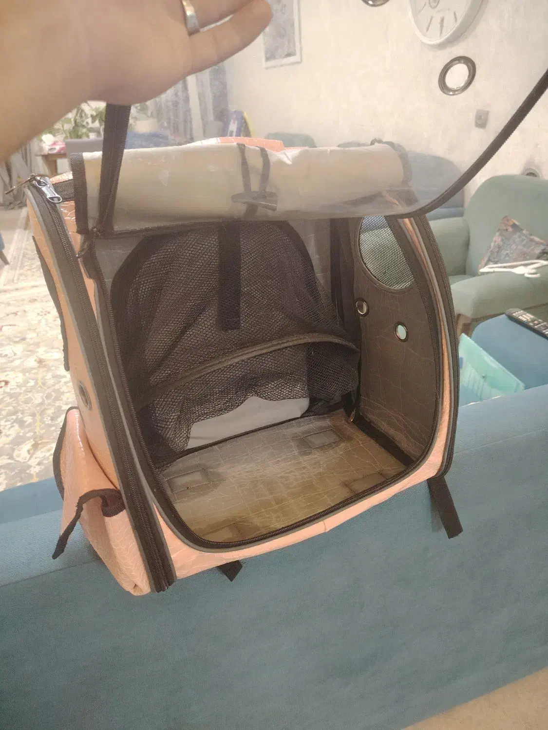 کیف رودوشی حمل سگ و گربه|لوازم جانبی حیوانات|آستارا, |دیوار