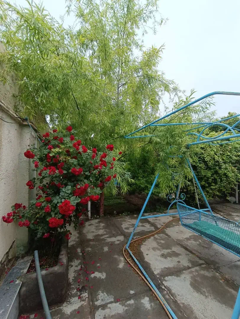 اجاره باغ ویلا روزانه شاندیز|اجارهٔ کوتاه‌مدت ویلا و باغ|شاندیز, |دیوار