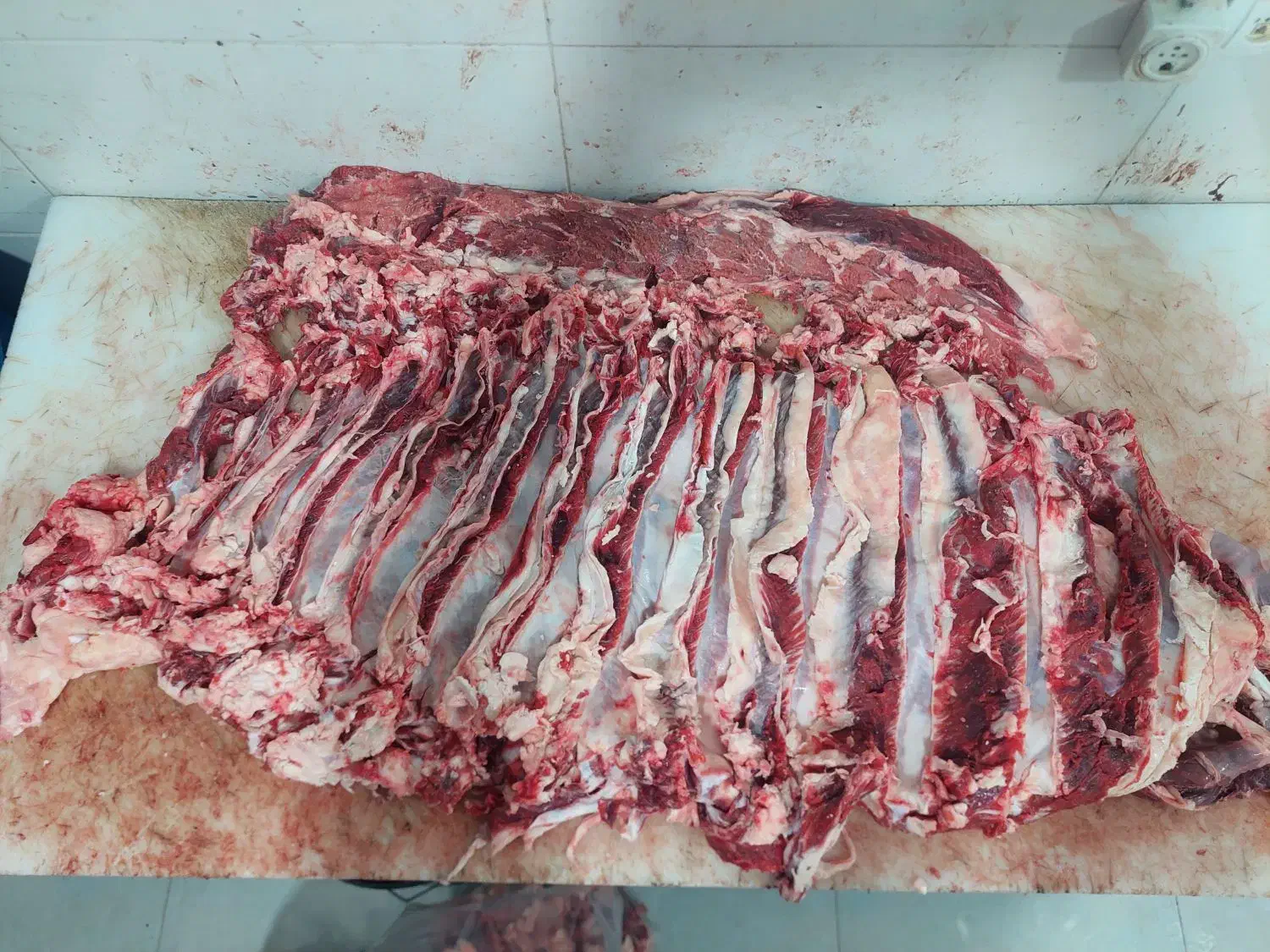 توزیع و پخش گوشت گرم گوساله نر|عمدهفروشی|شیراز, احمدآباد|دیوار