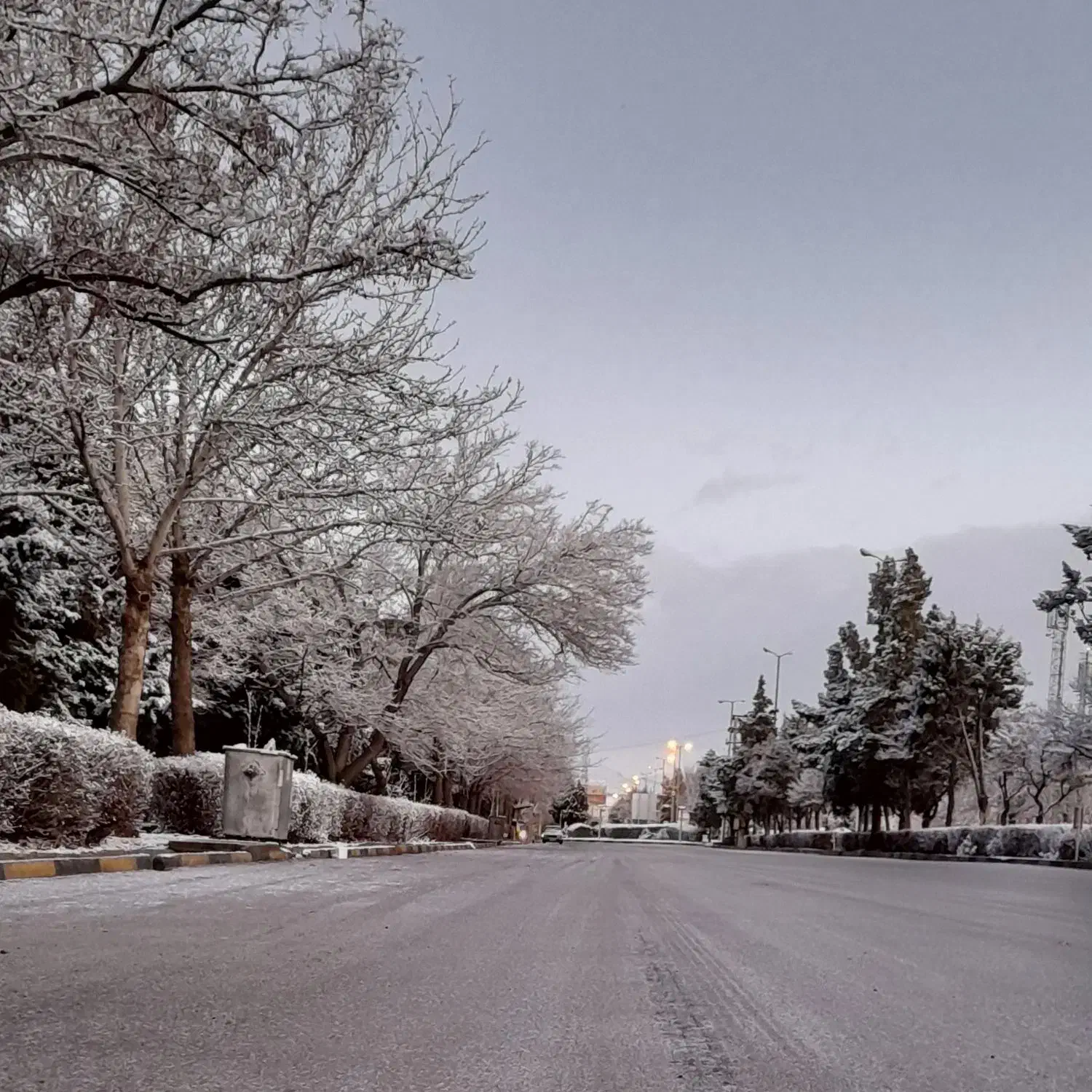 درد کمر|فعالیت داوطلبانه تحقیقاتی|محمدیه-قزوین, |دیوار