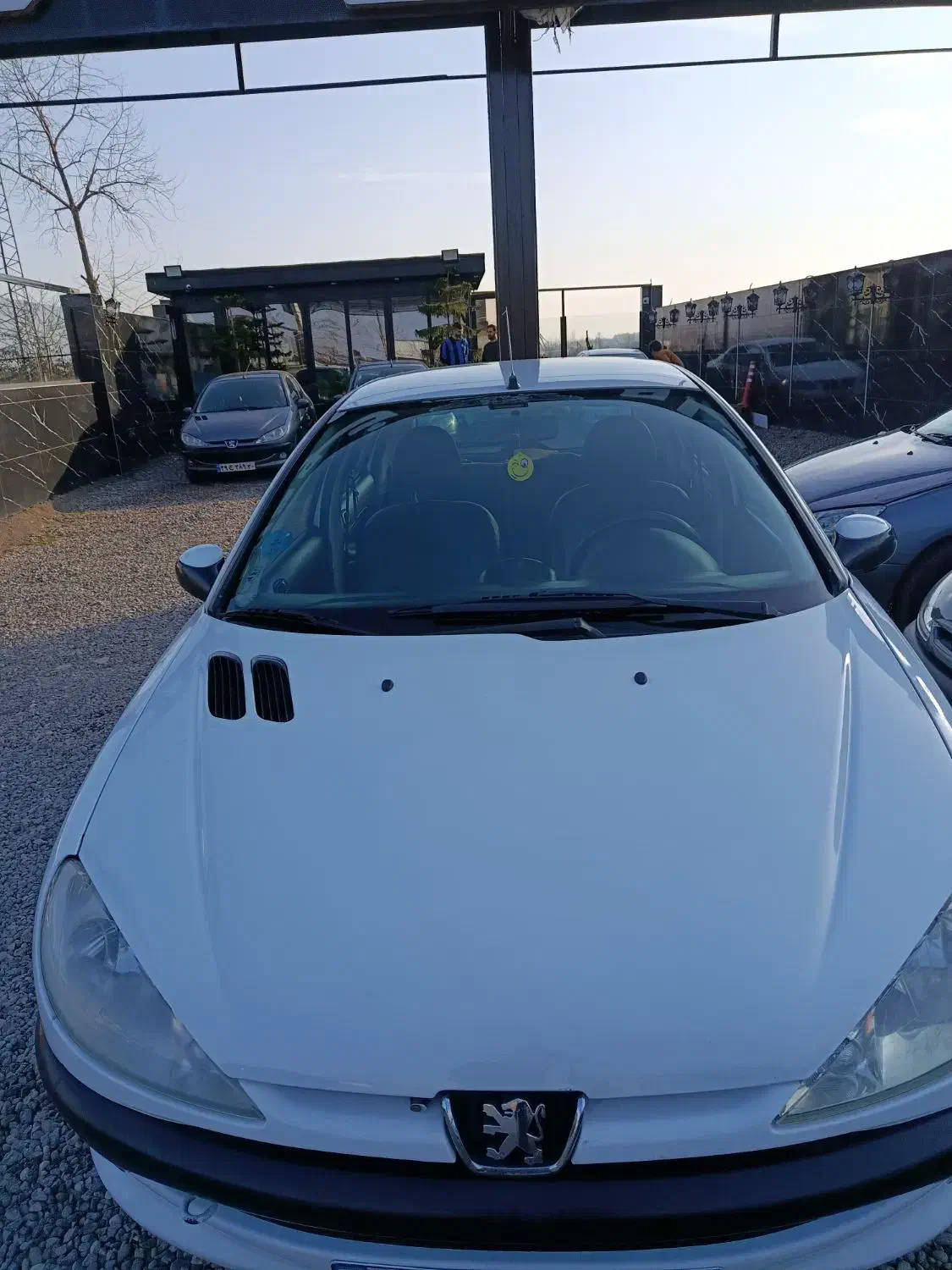 ۲۰۶ استثنایی|خودرو سواری و وانت|شفت, |دیوار