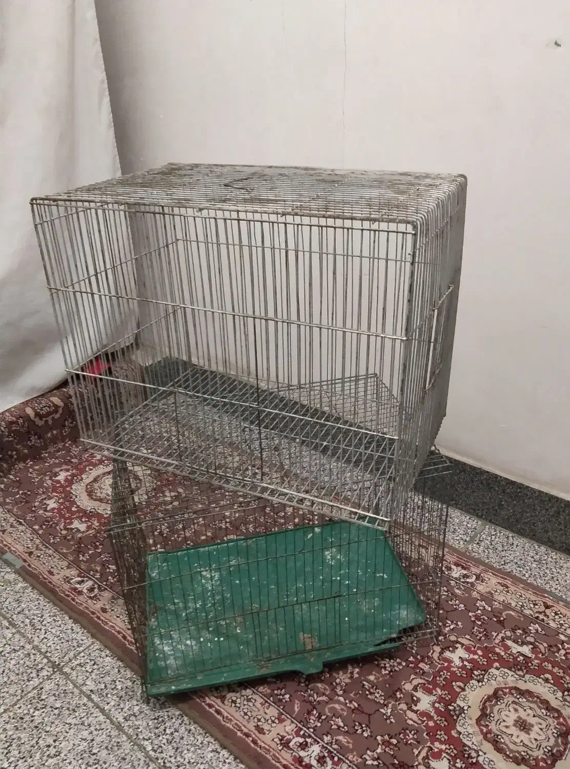 قفس پرنده|لوازم جانبی حیوانات|ارومیه, |دیوار