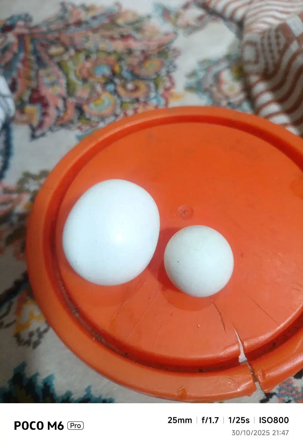 سنگ اسیاب|کلکسیون اشیاء عتیقه|دماوند, دماوند|دیوار