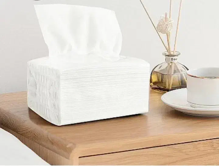 دستمال کاغذی عمده|مواد شوینده و دستمال کاغذی|شیراز, معالیآباد|دیوار