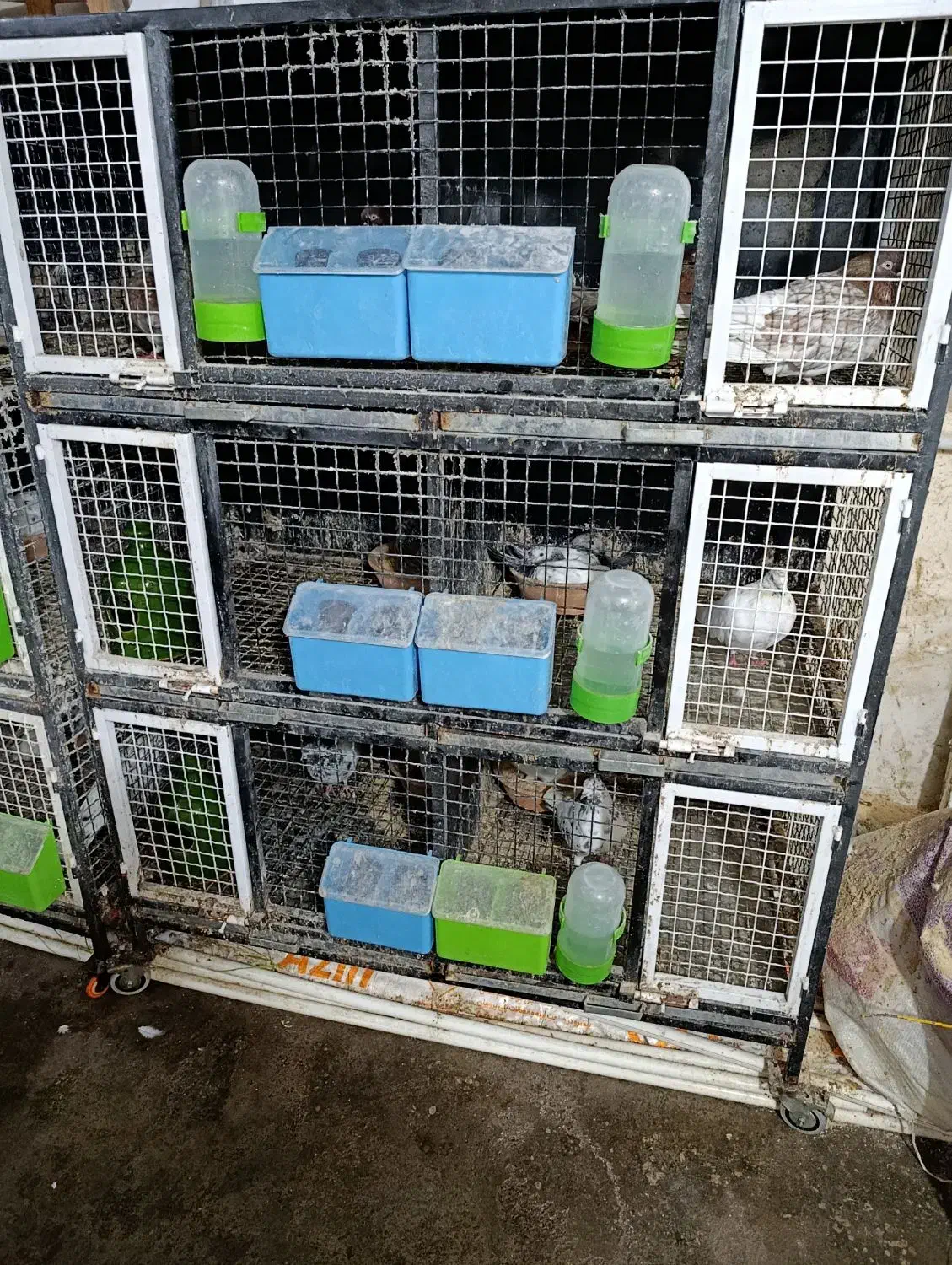 یک عدد جفتگاه 6تایی در حد نو|لوازم جانبی حیوانات|رشت, حومه رشت|دیوار