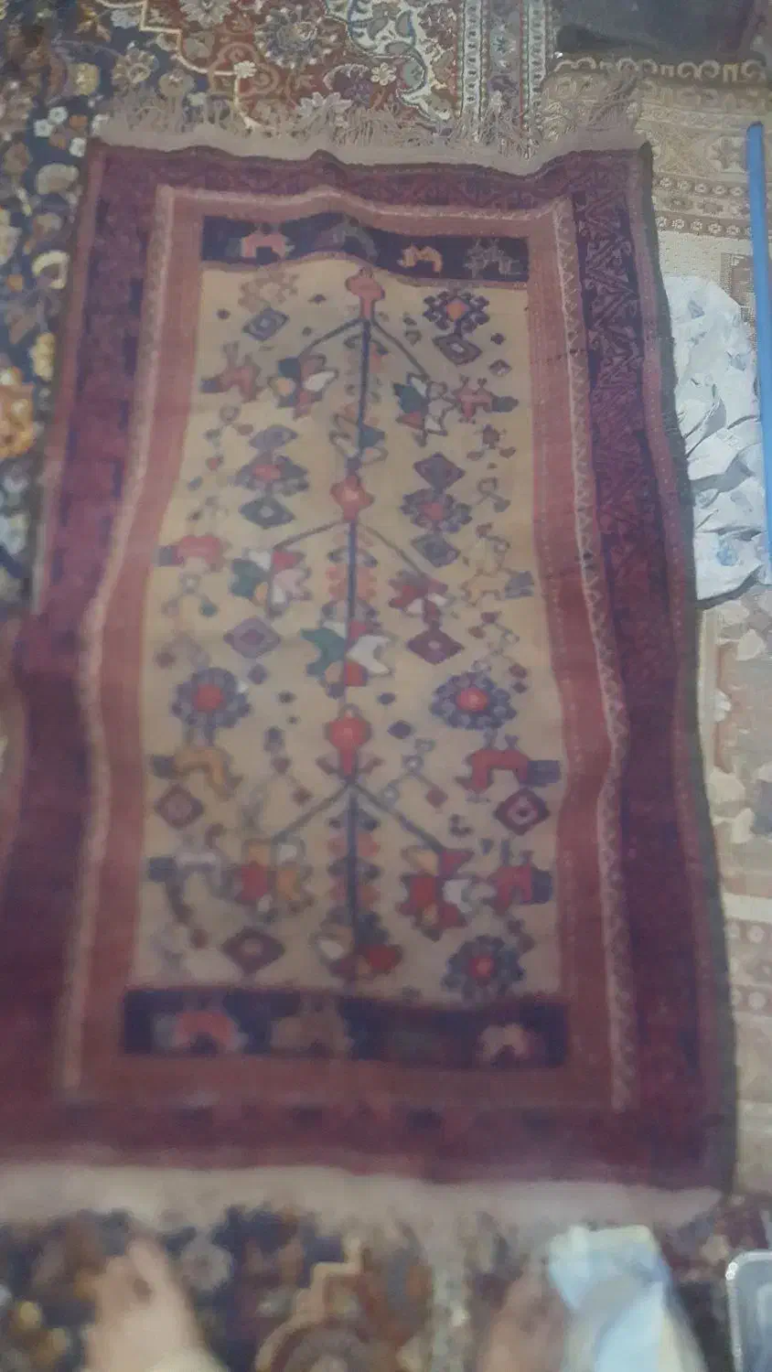 قالیچه دست بافت|فرش|بیرجند, |دیوار